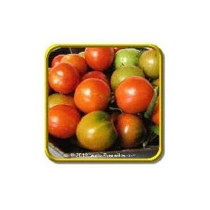  1/4 Lb   Heirloom Tomato Seeds   Sub Arctic Plenty Bulk 