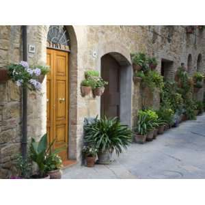  Flower Pots and Potted Plants Decorate a Narrow Street in 