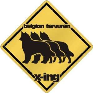  New  Belgian Tervuren X Ing / Xing Iii  Crossing Dog 