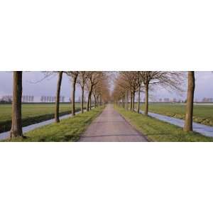  Holland, Meddembeemster, View of a Tree Lined Lane with 