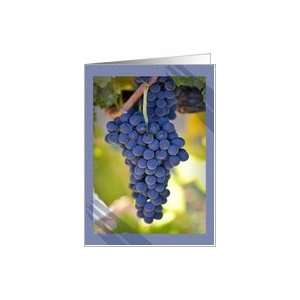  Thanks a Bunch Red Grapes on the Vine Photograph Card 