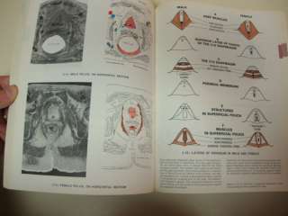   of anatomy by james e anderson md the heavily illustrated medical