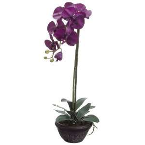   Purple Phalaenopsis Orchid Silk Flower Plants 22