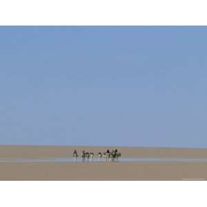  The Caravan Makes its Way Through the Desolate Sahara 