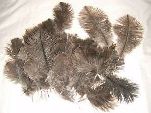 10 GRAM NATURAL DRABS OSTRICH FEATHERS 50MM 125MM  