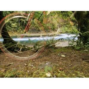  A Bicycle Zooms by in This Double Exposed Photograph 