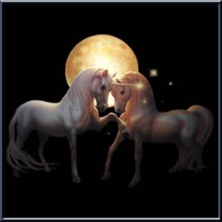 Moondance Unicorn White Horse T Shirt S,M,L,XL,2X, & 3X  