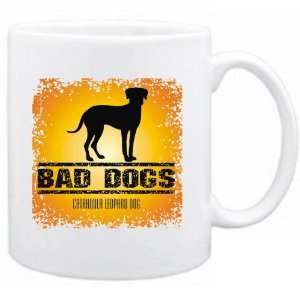    New  Bad Dogs Catahoula Leopard Dog  Mug Dog