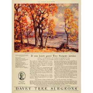 1929 Ad Davey Tree Surgeons John Willys Oyster Bay Long Island Autumn 