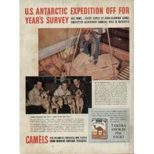  U.S. ANTARCTIC EXPEDITION OFF FOR YEARS SURVEY, Sled Dogs 