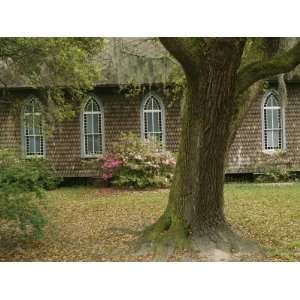 Old Church with Blooming Azaleas, Oak Tree, and Spanish Moss Premium 