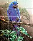 Exotic Birds Ceramic Tile Mural Macaw Parrot 12pc 4 25  