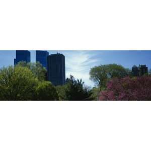 Skyscrapers Viewed from a Park, Central Park, Manhattan, New York, USA 