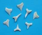 10 Shark Teeth 15 20mm in size 5 upper plus 5 lower t