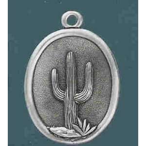  Sanguaro Pewter Fan Pull with 6 Chain