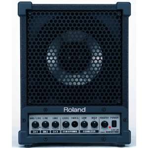  Roland Cube Monitor / PA Musical Instruments