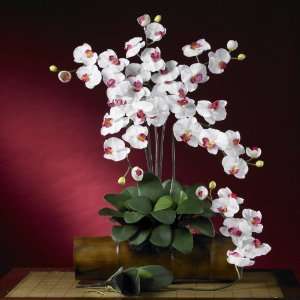   Silk Orchid Flower w/Leaves (6 Stems) White Colors   Silk Flower Home