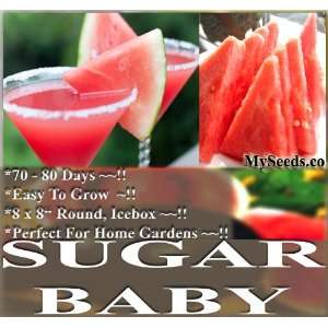  50 SUGAR BABY WATERMELON Seeds VERY SWEET ~ 10 lb oval red 