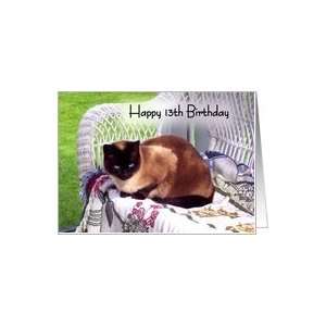   13th Birthday, Siamese cat on white wicker chair Card Toys & Games